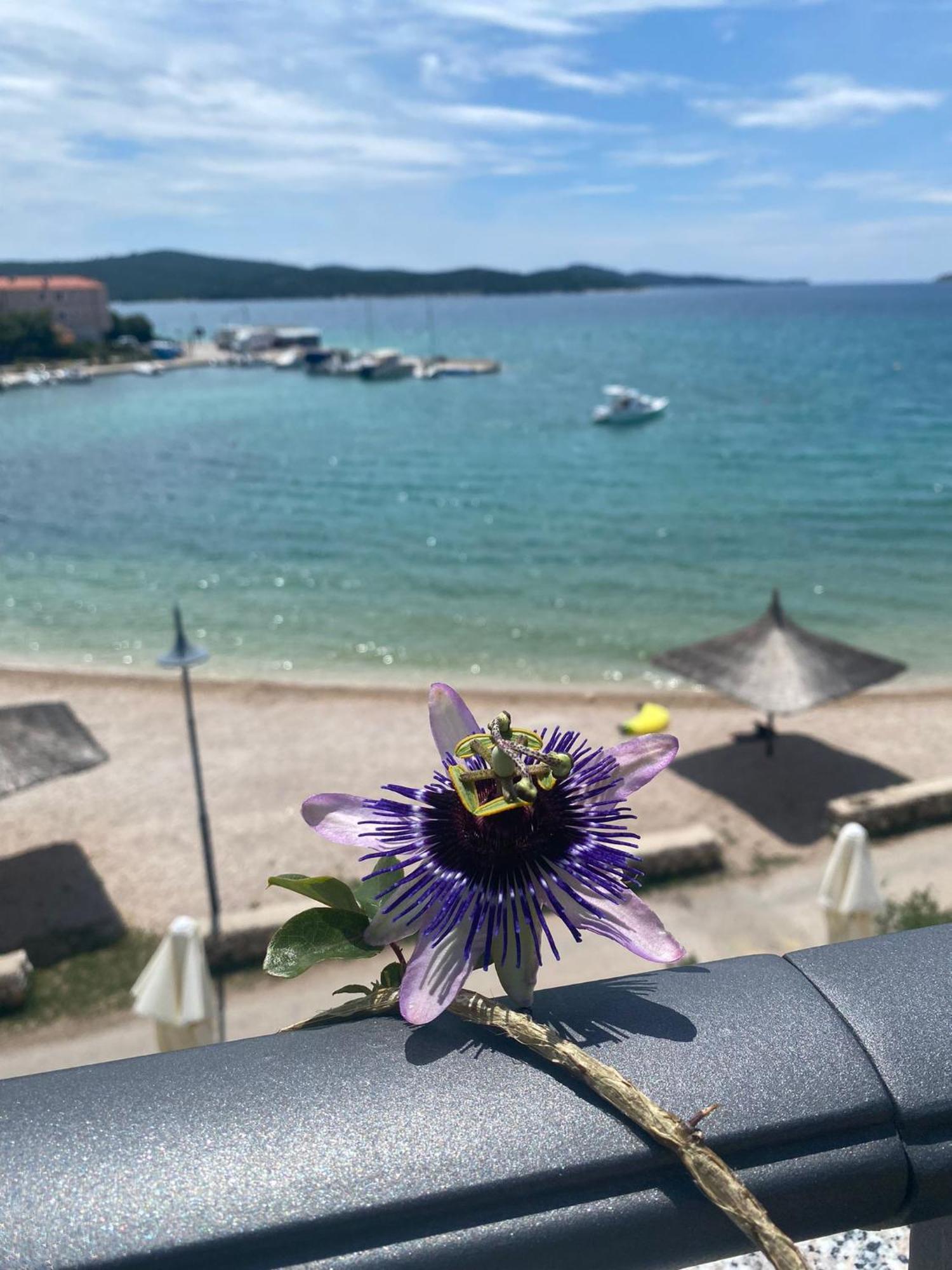 Cap Adria Apartment Residence Zaboric Εξωτερικό φωτογραφία